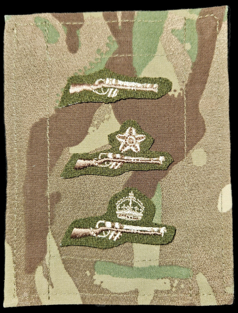 Load image into Gallery viewer, ACF/CCF Core Shooting Proficiency Badges
