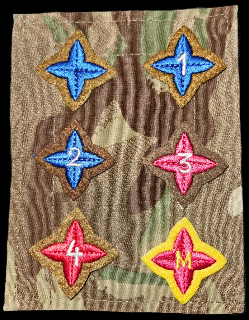 Load image into Gallery viewer, New ACS ACF Proficiency Star Badges
