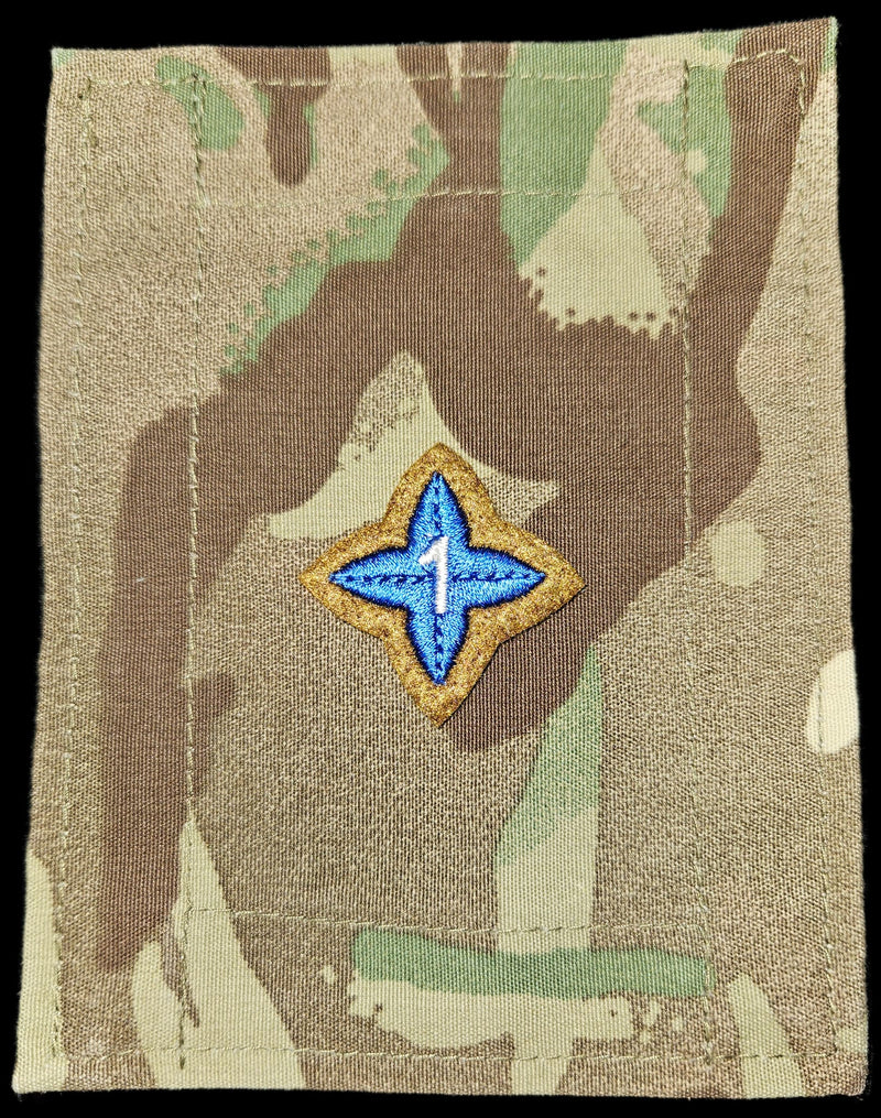 Load image into Gallery viewer, New ACS ACF Proficiency Star Badges
